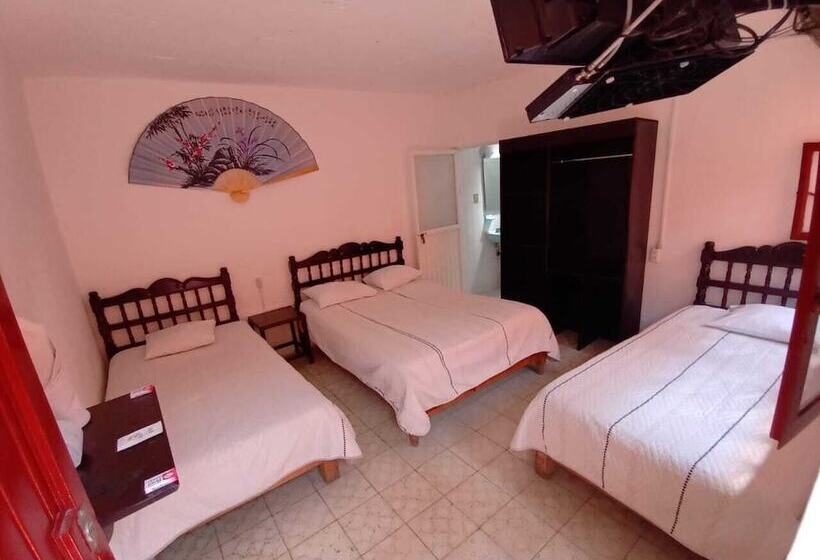 Отель Reforma Inn