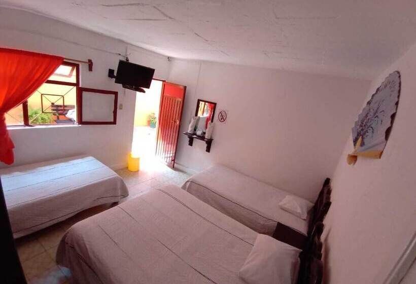 Отель Reforma Inn