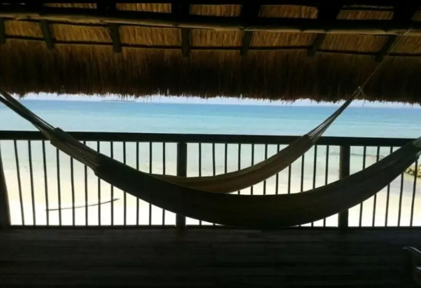 ホテル Baru Punta Blanca