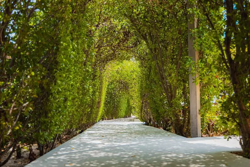 هتل Radisson Blu Aruba