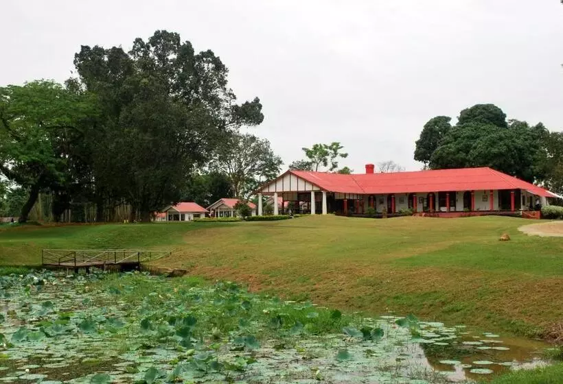 Kaziranga Golf Resort