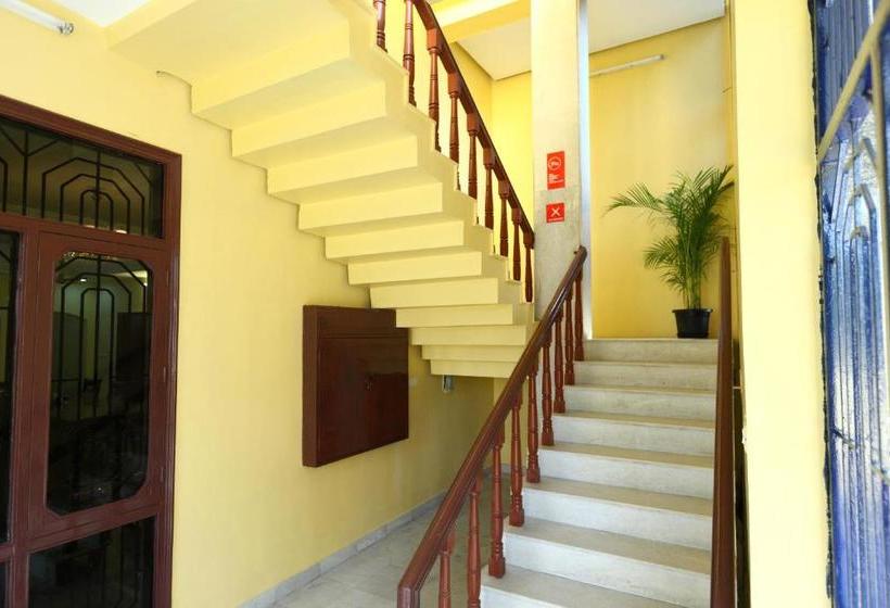 ペンション Golden Flowers Inn