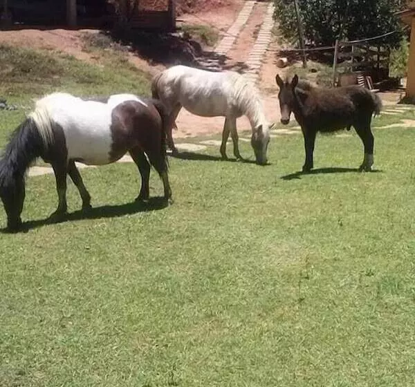 ペンション Pousada Rural E Pesqueiro Chalé Da Serra