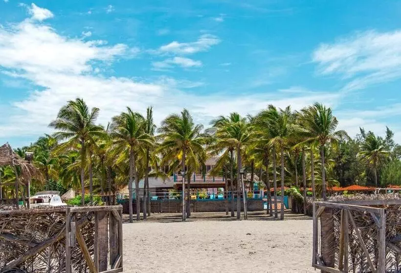 هتل Bahia Del Sol