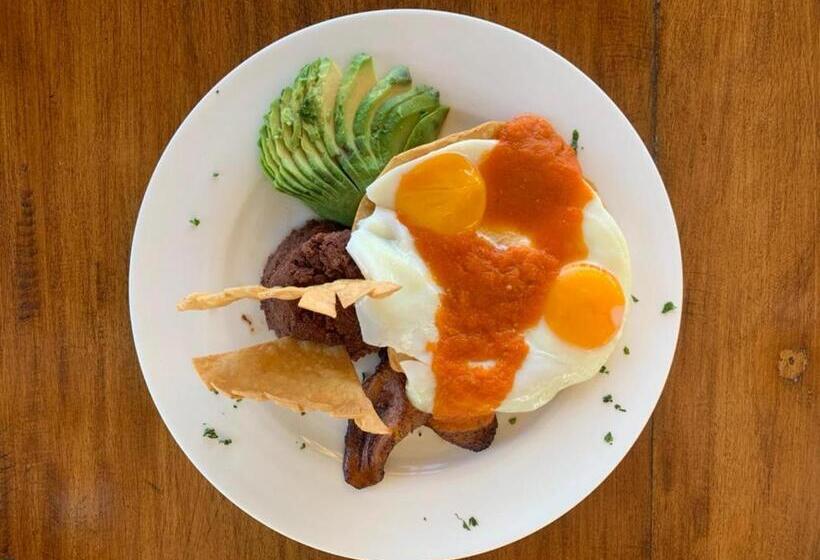 هتل Bahia Del Sol