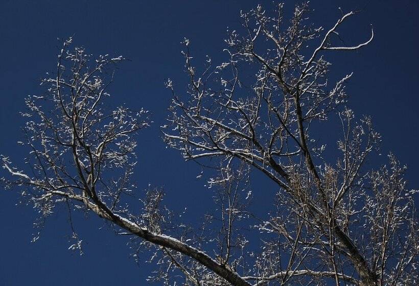 Hotel Las Balsas Relais & Chateaux