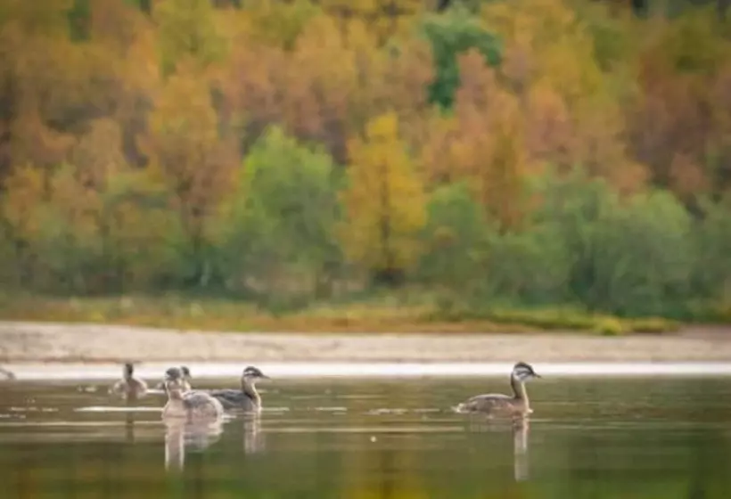 בית מלון כפרי Las Balsas Relais & Chateaux