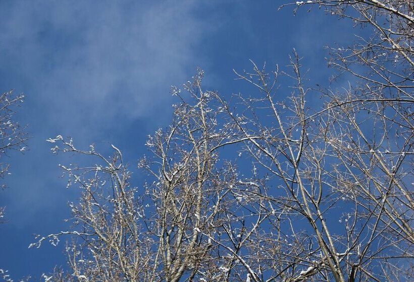 Hotel Las Balsas Relais & Chateaux