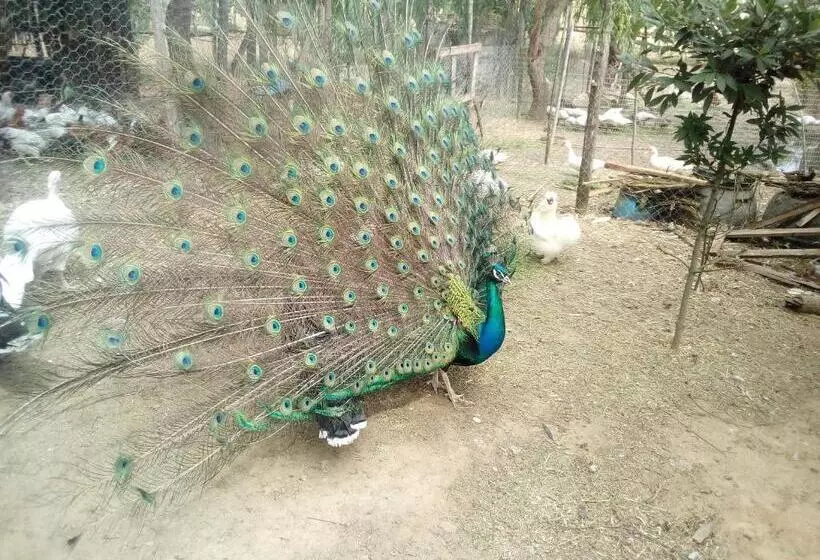 Отель Locanda Le Mandriane