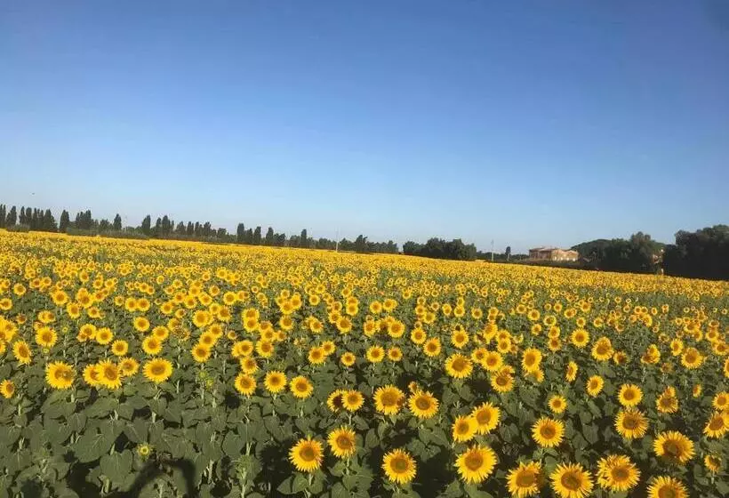 Отель Locanda Le Mandriane