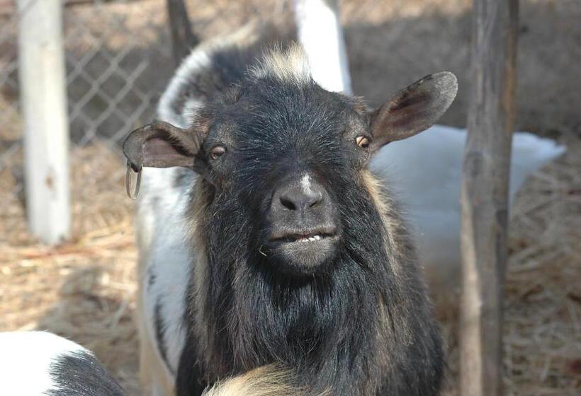 فندق Locanda Le Mandriane