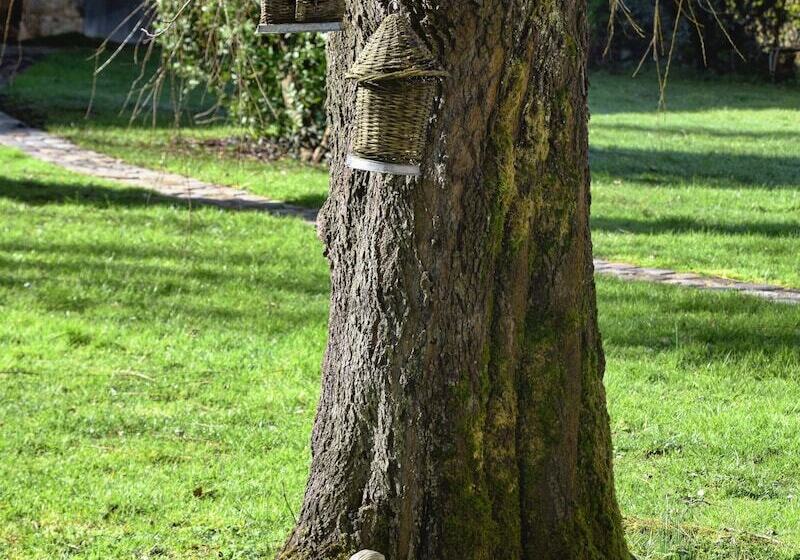 Hotel Chambres D Hôtes Domaine De Ginouilhac