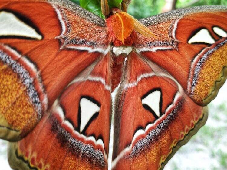 فندق Earth Park Resorts