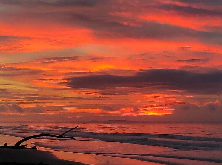 فندق Earth Park Resorts