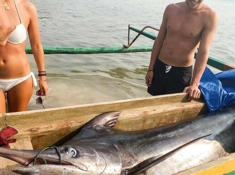 בית מלון כפרי Panorama Backpackers