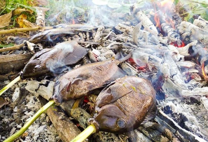 בית מלון כפרי Panorama Backpackers