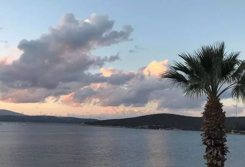 ホテル Silenos Boutique