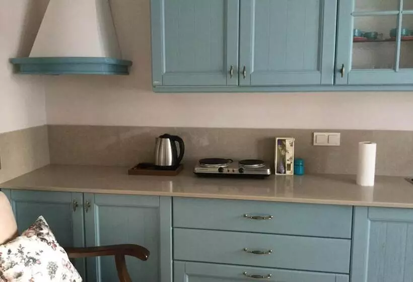 ホテル Silenos Boutique