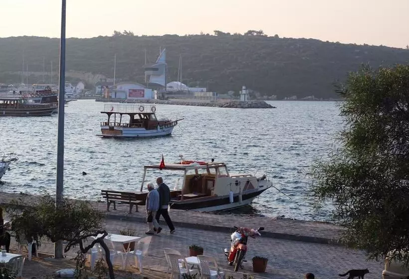 ホテル Silenos Boutique