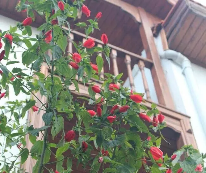 ホテル Silenos Boutique