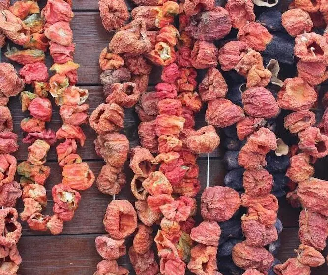 ホテル Silenos Boutique