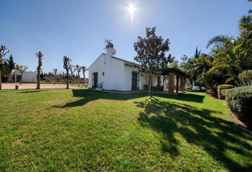 Hacienda Roche Viejo