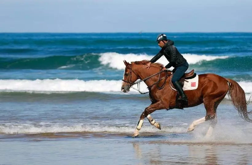 هتل L  Amphitrite Palace Resort & Spa