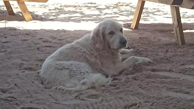 هتل Aroa Beachside Resort