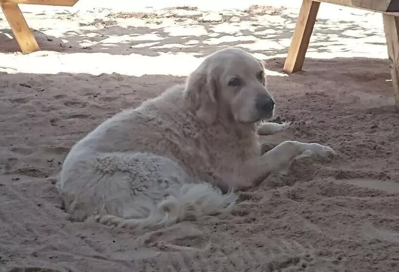 هتل Aroa Beachside Resort