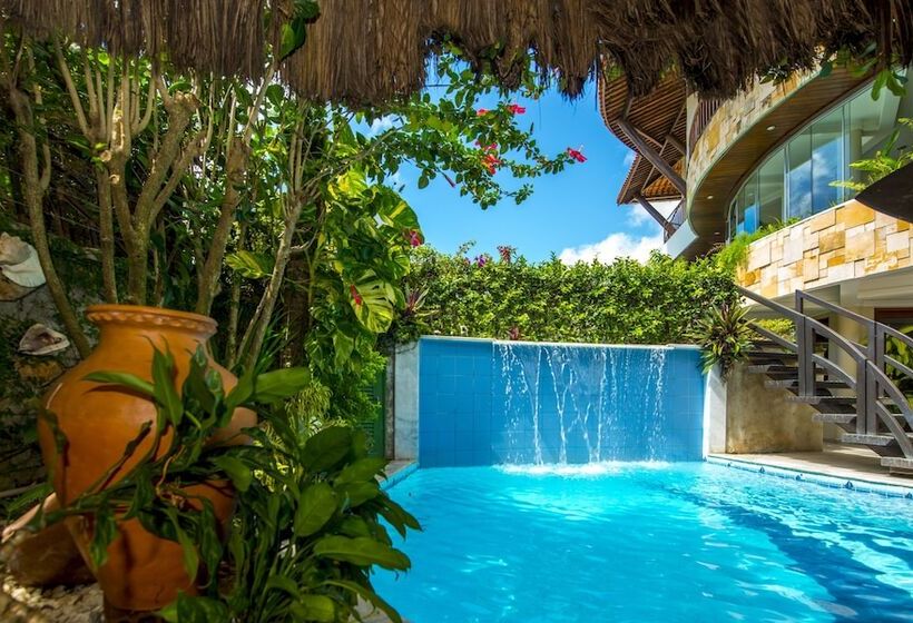 فندق Dividivi Praia