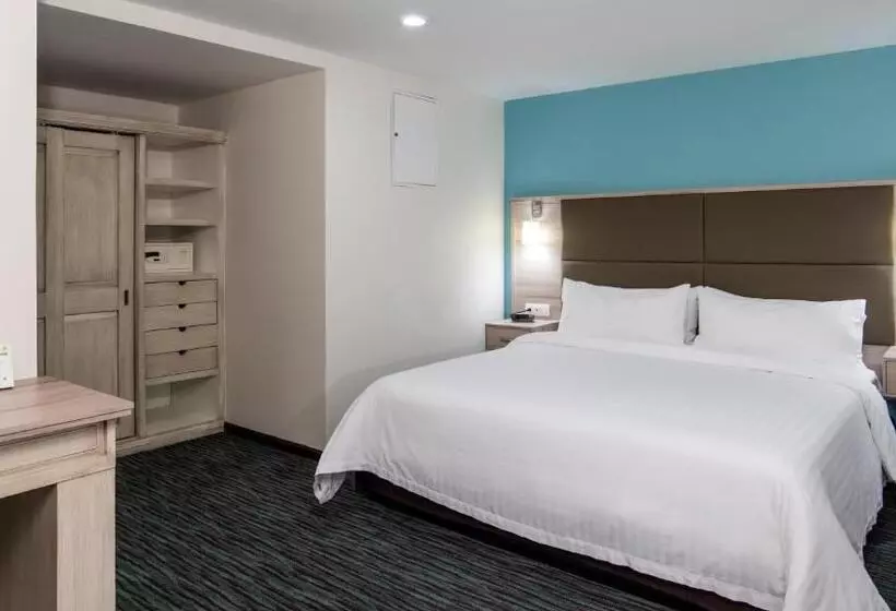 هتل Holiday Inn & Suites Mexico Zona Reforma, An Ihg