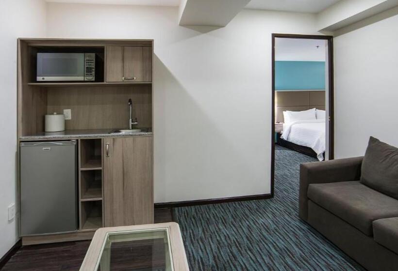 ホテル Holiday Inn & Suites Mexico Zona Reforma, An Ihg