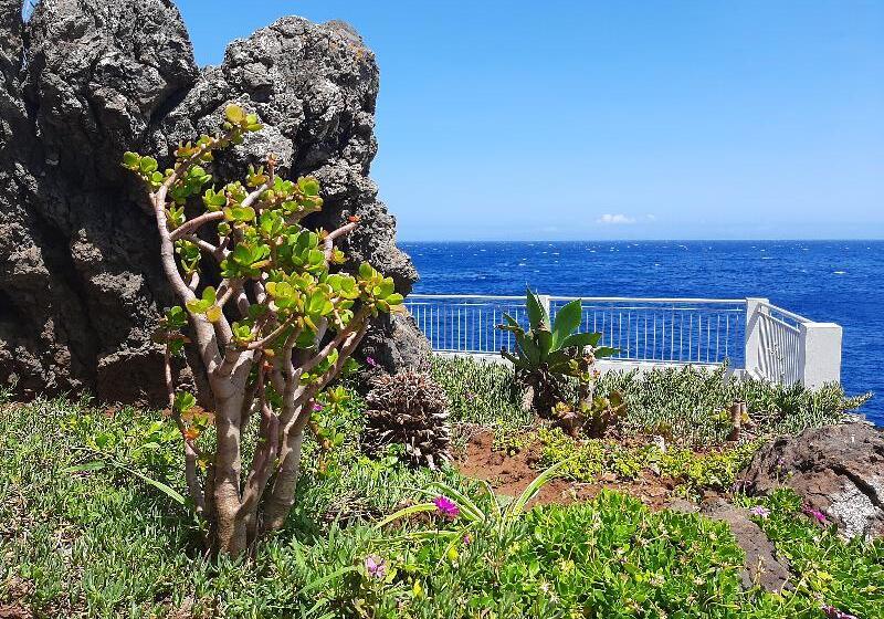 בית מלון כפרי Roca Mar