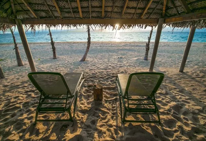 فندق Serenity Island Resort