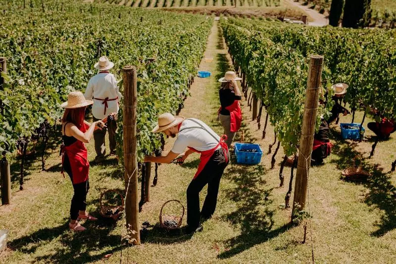 هتل Spa Do Vinho Condomínio Vitivinícola