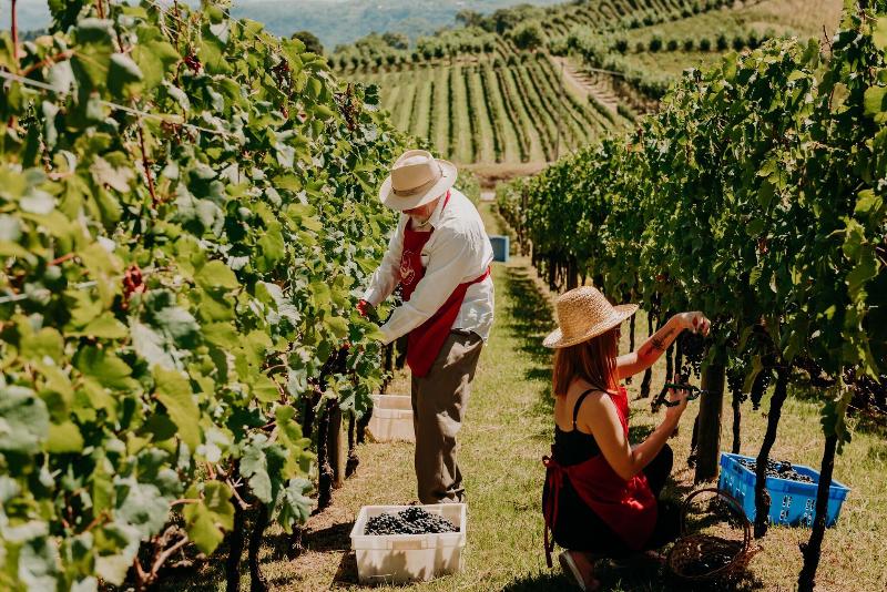 فندق Spa Do Vinho Condomínio Vitivinícola