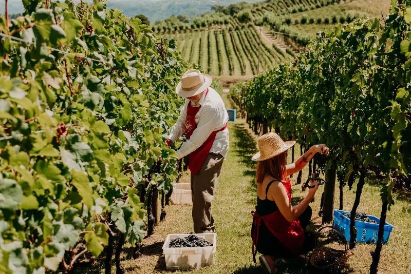 هتل Spa Do Vinho Condomínio Vitivinícola