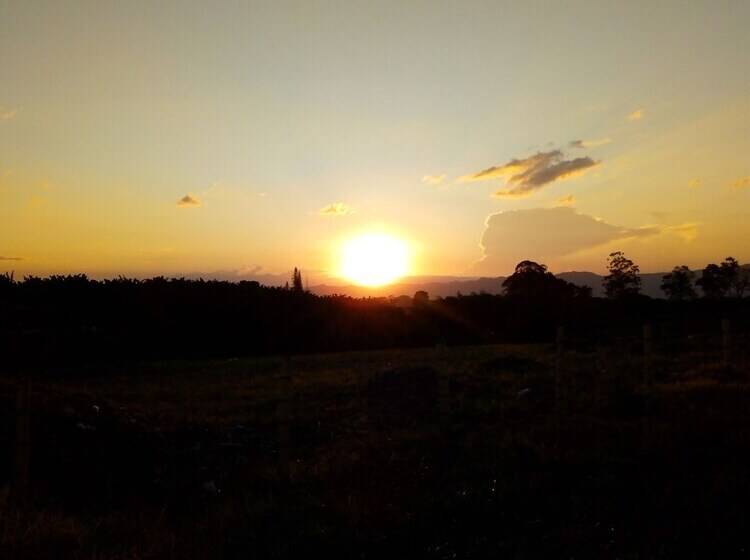 Guaduales Del Café 304