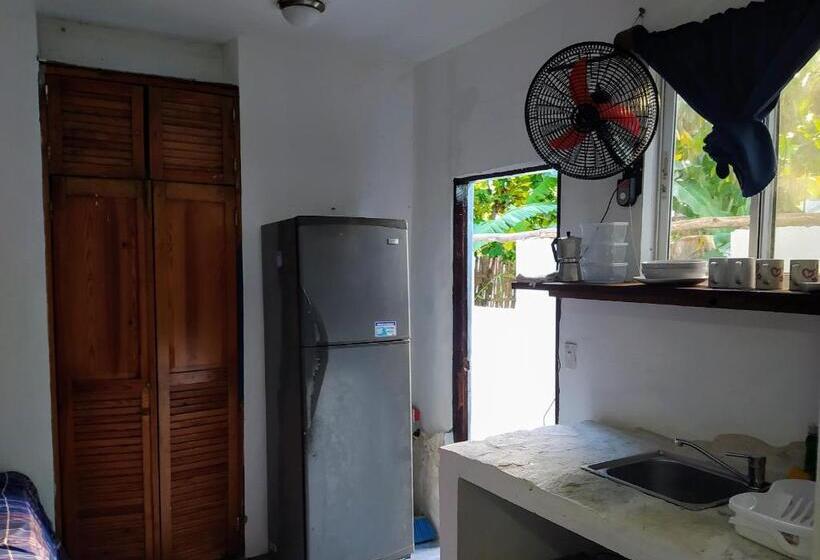 Пансион Room In Lodge   Method Living Tropical Edition