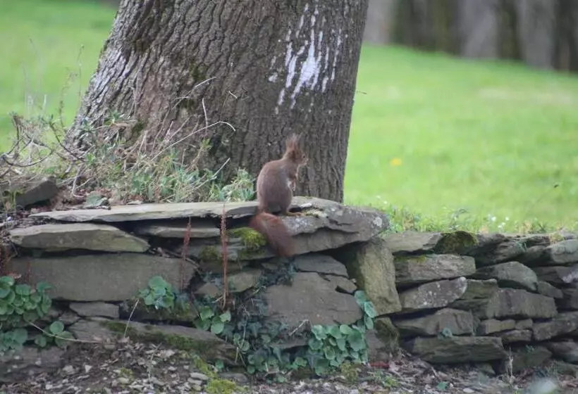 Aamiaismajoitus (B&B) Chambres D'hôtes, Zimmer, Domaine De Kervennec