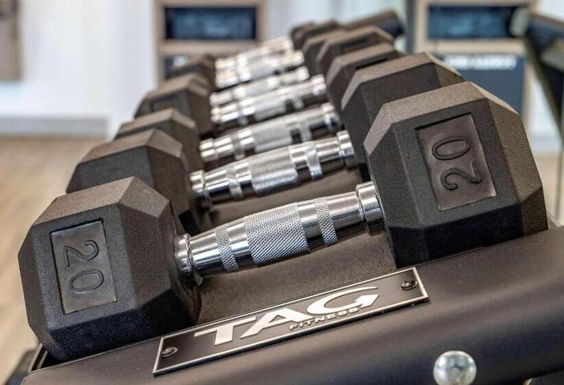 Cambria Hotel Rock Hill   University Center