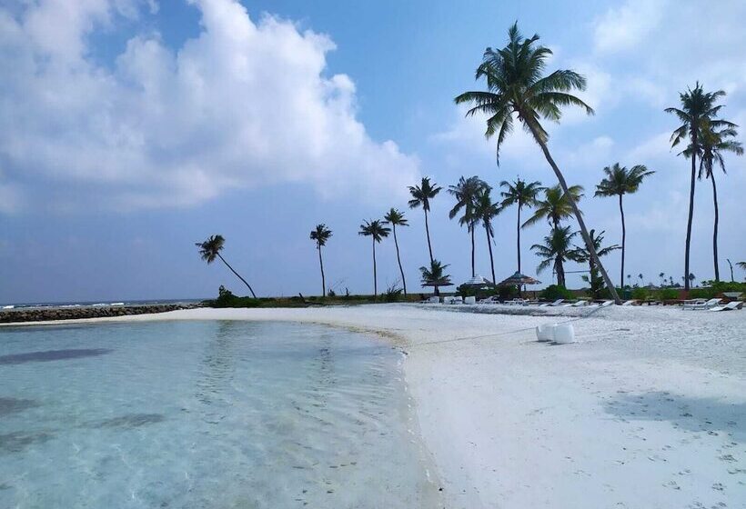 هتل Courtyard Guesthouse