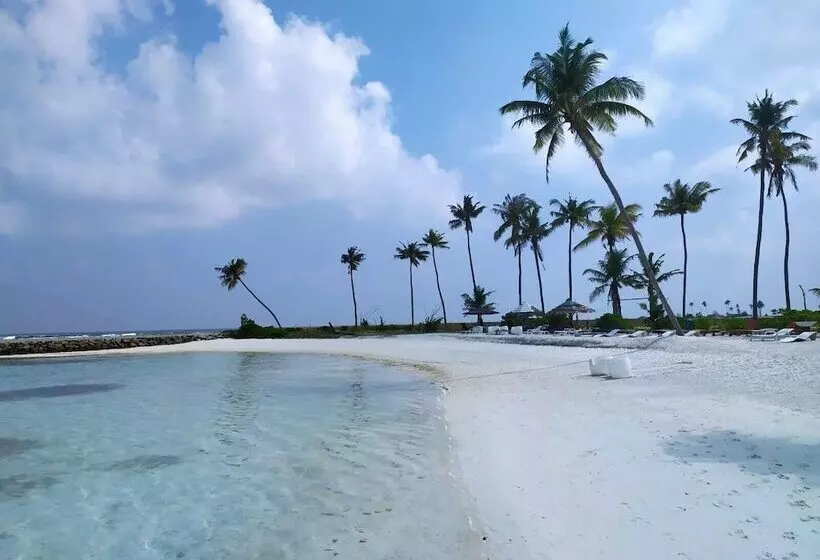 هتل Courtyard Guesthouse