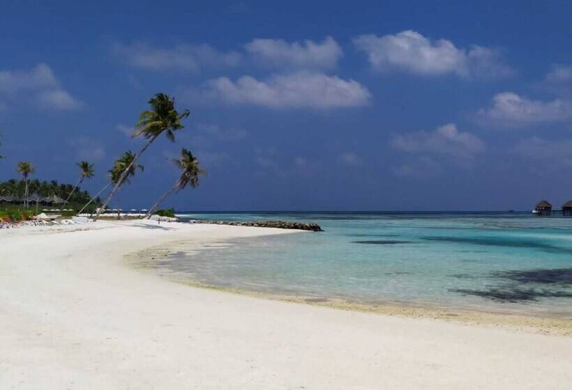 هتل Courtyard Guesthouse