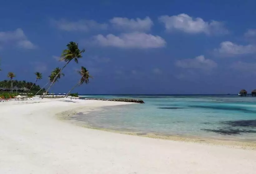 هتل Courtyard Guesthouse