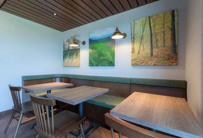 ホテル Fairfield By Marriott Inn & Suites Revelstoke