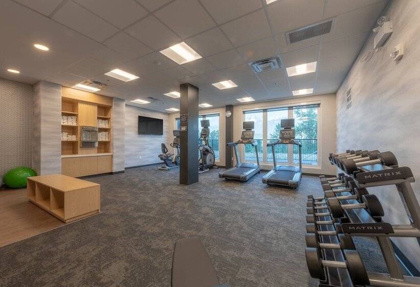 Hotel Fairfield By Marriott Inn & Suites Revelstoke