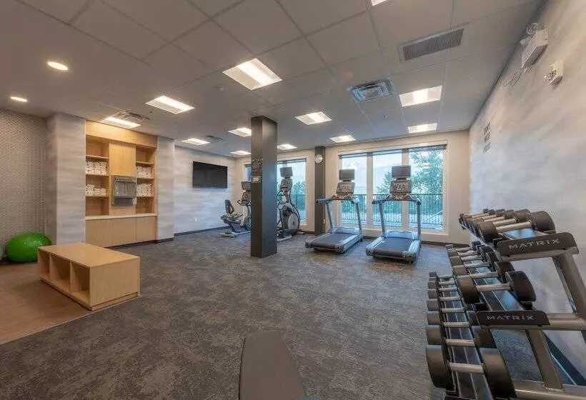 ホテル Fairfield By Marriott Inn & Suites Revelstoke