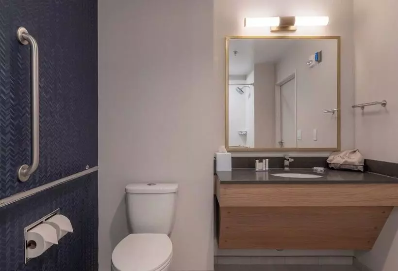 ホテル Fairfield By Marriott Inn & Suites Revelstoke