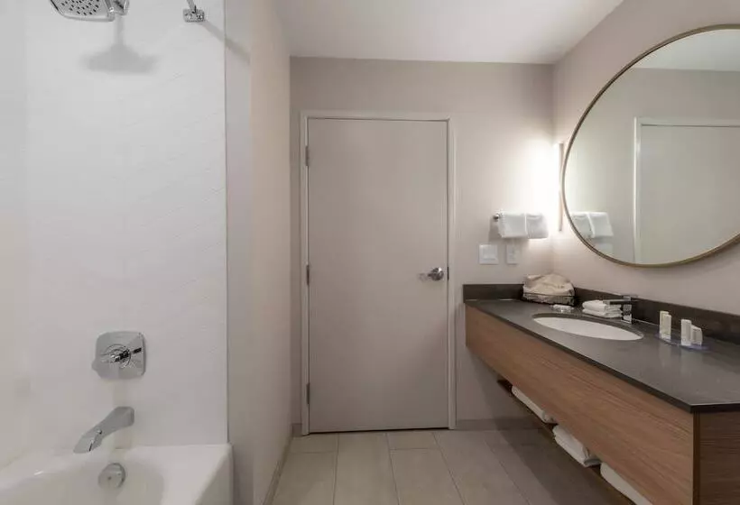 ホテル Fairfield By Marriott Inn & Suites Revelstoke